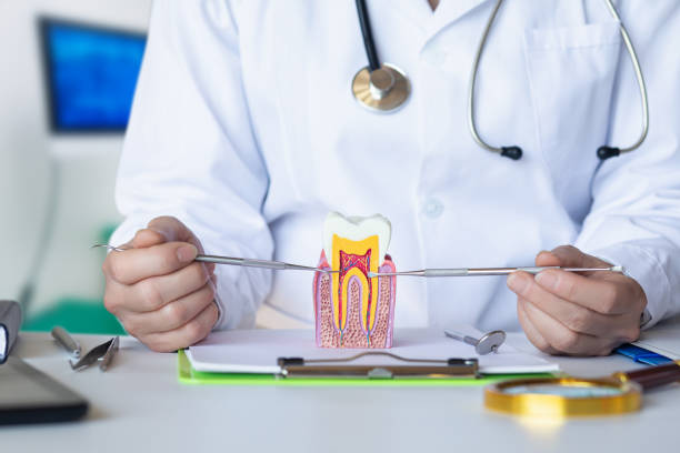 Best Urgent Dental Care for Toothache in Beattystown, NJ